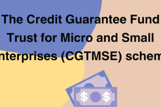 The Credit Guarantee Fund Trust for Micro and Small Enterprises (CGTMSE) scheme