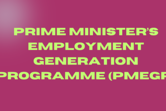 Prime Minister’s Employment Generation Programme (PMEGP)