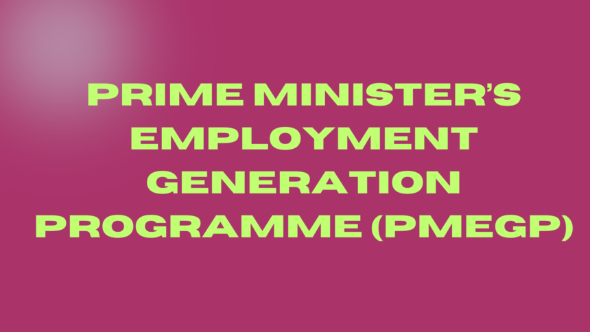 Prime Minister’s Employment Generation Programme (PMEGP)